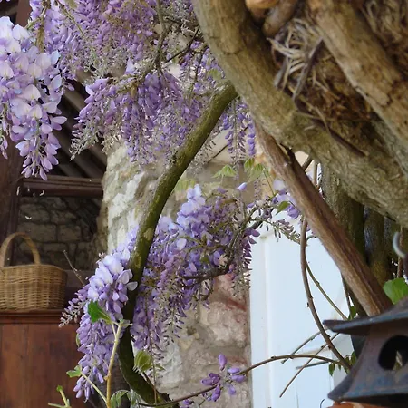 La Maison De Madame Baudy * Giverny