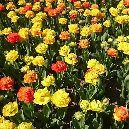 La Maison De Madame Baudy 4*