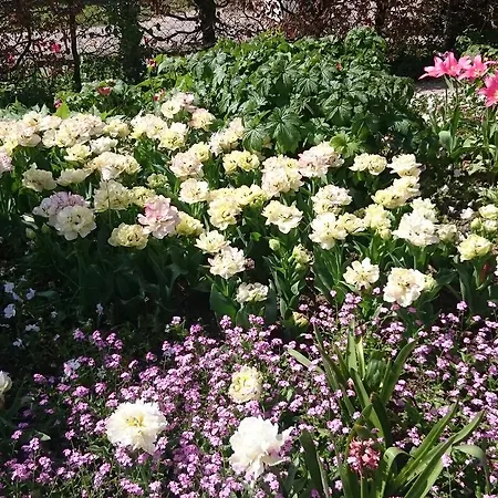 Bed & Breakfast La Maison De Madame Baudy Giverny