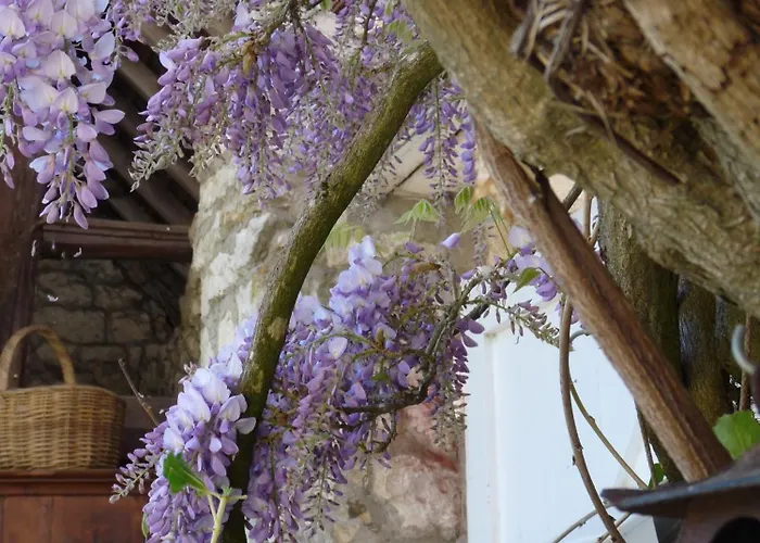 La Maison De Madame Baudy 4* Giverny