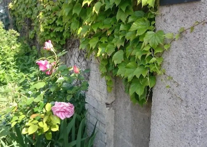 La Maison De Madame Baudy