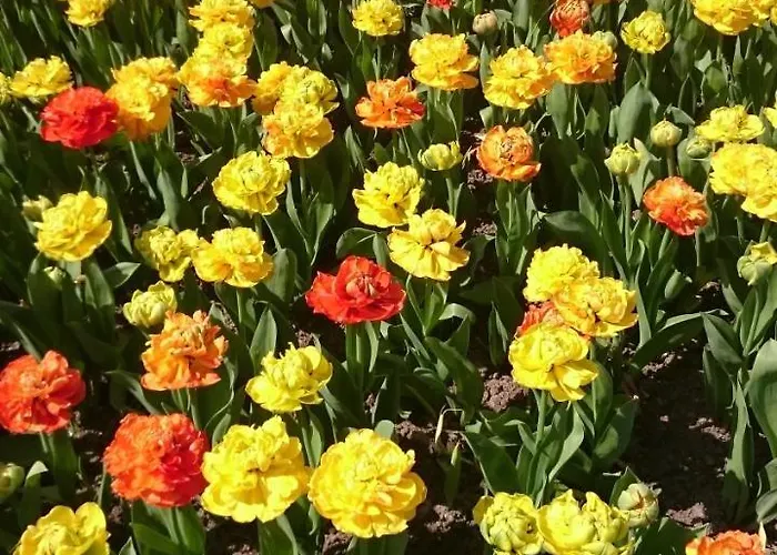 La Maison De Madame Baudy 4*