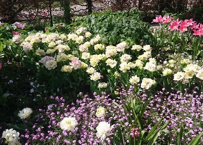 Nocleg ze śniadaniem La Maison De Madame Baudy Giverny